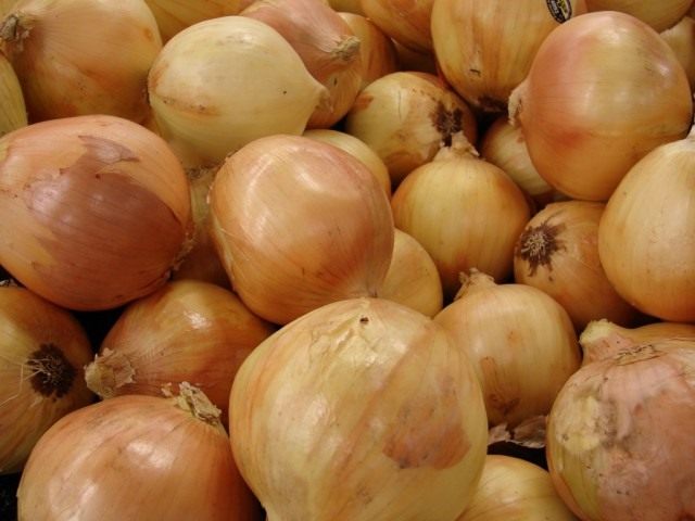 Лук репчатый