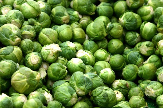 Брюссельская капуста (Brássica oleracea) Брюссельская капуста (Brássica oleracea)