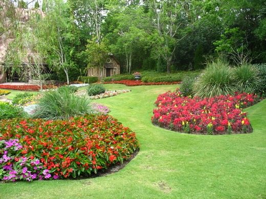 Цветы и декоративные кустарники. Часть 1. - Цветник и ландшафт Цветник