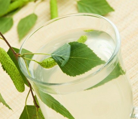 Берёзовый сок — волшебный напиток - Напитки Стакан берёзового сока