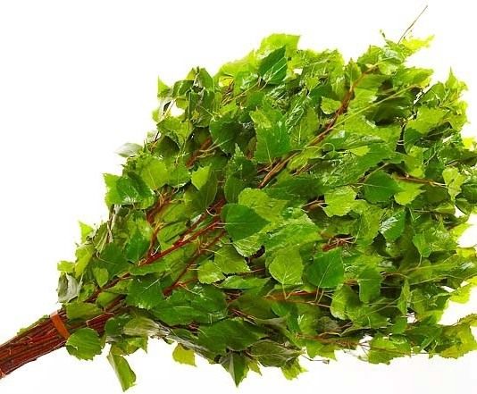 Выбираем банный веник. - Своими руками Банный веник