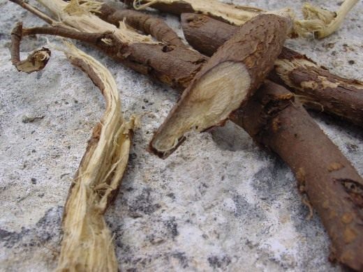 Лакрица, Солодка голая, Солодка гладкая, Лакричник (Liquorice)
