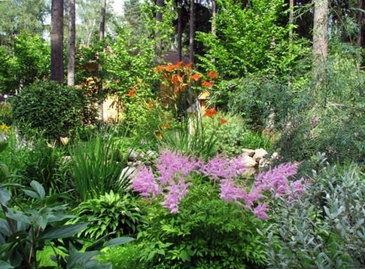 Цветник (Flower-garden)