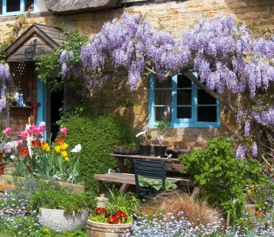 Способ вертикального озеленения