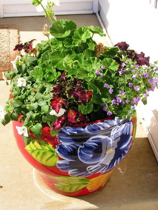 Цветочный горшок (Flowerpot)