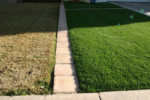Газон (Lawn)