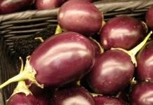 Баклажан (Solanum melongena)
