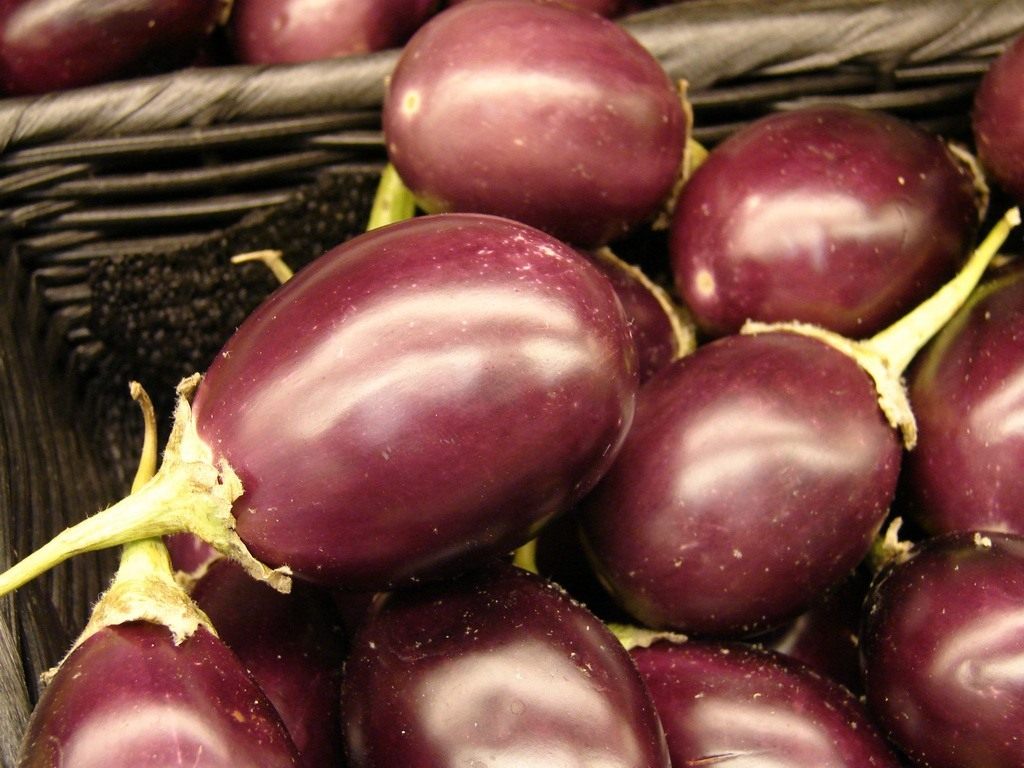 Баклажан (Solanum melongena) Баклажан (Solanum melongena)
