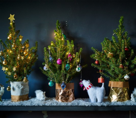 Растим ёлку дома - Комнатные растения Украшенные ёлки в горшке