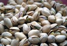 Орехи фисташек в раскрывшейся скорлупе