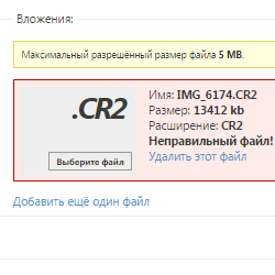 Файл выбран неверно