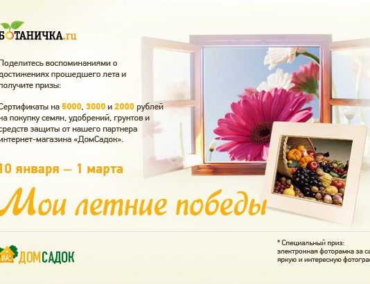 Конкурс «Мои летние победы»