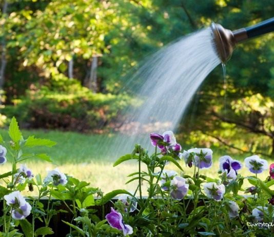 Календарь-шпаргалка на июль - Календари Полив