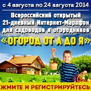 Интернет-марафон «Огород от А до Я»