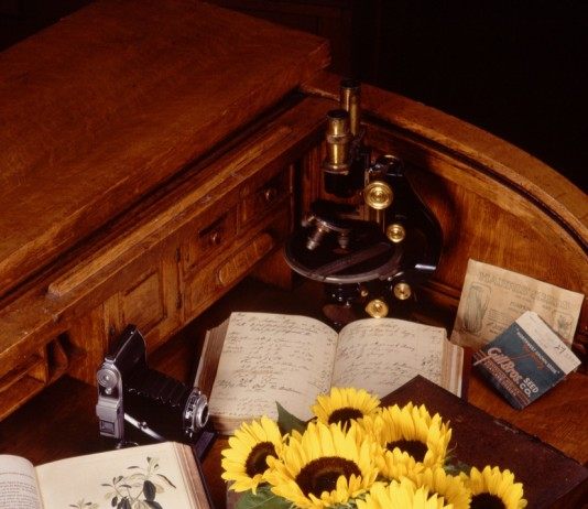 Инструменты ботаника