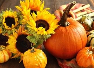 Рыжебокая красавица