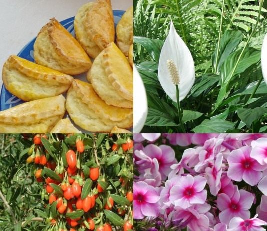 Лучшие материалы 2014 года