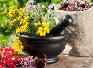 Арома-грядка с полезными травами - Блоги компаний Арома-грядка с полезными травами