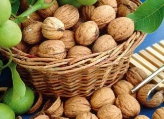 Чем старше дерево грецкого ореха, тем выше его урожайность