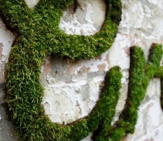 Живые картины из мха своими руками - Своими руками Граффити из мха