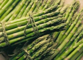 Деликатесная спаржа на Вашей грядке - Блоги компаний Спаржа