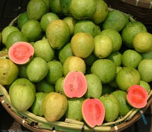 Выращивание гуайявы в комнатных условиях - Редкие и необычные Гуайява, фрукт
