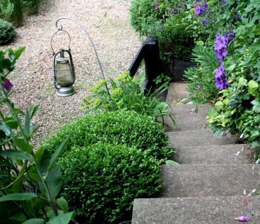 Особенности оформления дорожек с перепадами высот - Цветник и ландшафт Высокие ступени скрыты кустарником, с другой стороны обрамлены геранью и плющом
