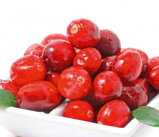 Клюква, сорт "Ред Стар"