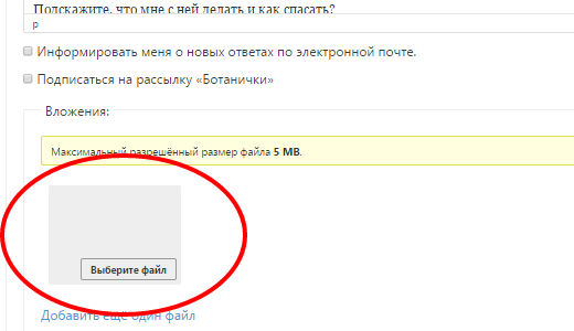 Добавление фотографий к теме