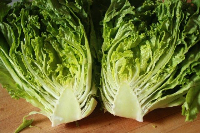 Салат кочанный Салат кочанный