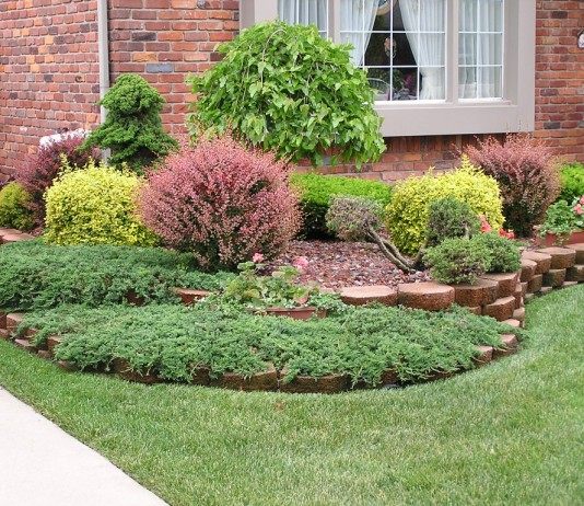 Мини-группы из деревьев и кустарников в дизайне сада - Цветник и ландшафт Деревья и кустарники в дизайне сада