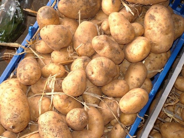 Урожай картофеля