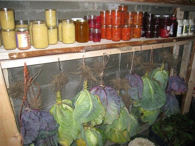 Проверяйте хранящиеся продукты для выявления порчи Проверяйте хранящиеся продукты для выявления порчи