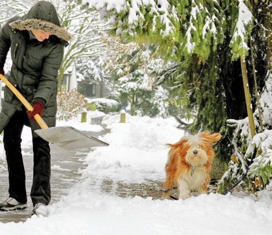 Календарь садово-огородных работ на декабрь - Календари Уборка снега на участке