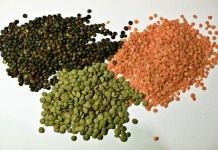 Чечевица чёрная, красная и зелёная