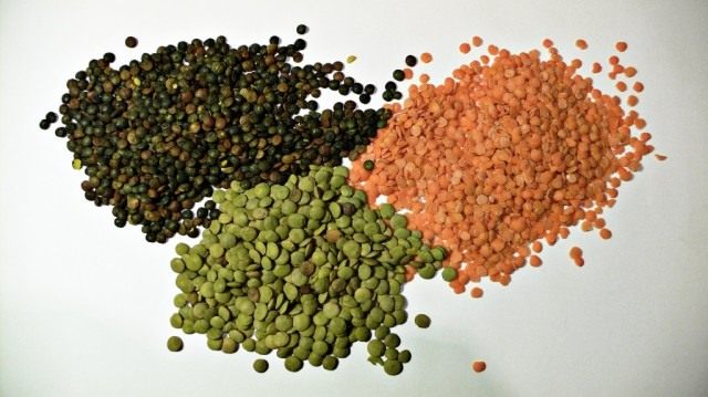 Чечевица зелёная, красная и пюи