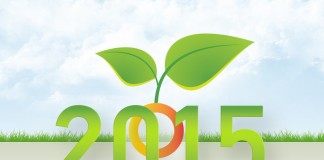 Лучшие материалы «Ботанички» 2015 года