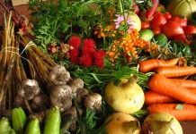 Урожай, полученный при органическом земледелии