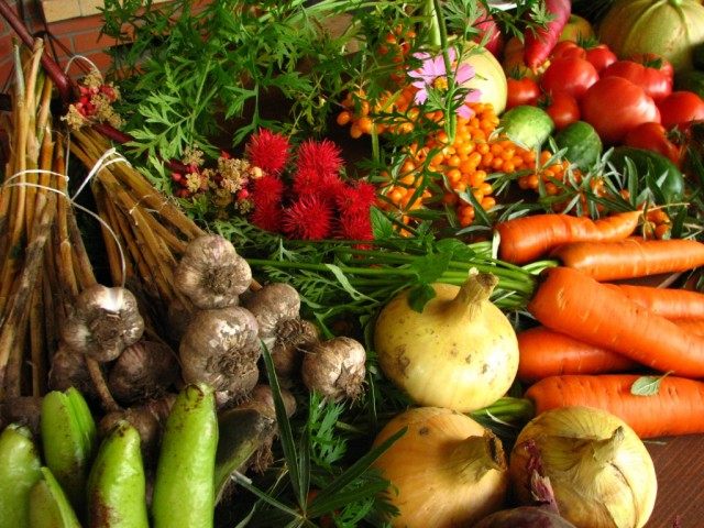 Урожай, полученный при органическом земледелии Урожай, полученный при органическом земледелии