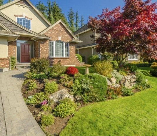 7 способов быстрого озеленения участка - Цветник и ландшафт Экспресс-методы создания сада позволяют из голого, пустого участка буквально за один-два сезона разбить царство цветов и ароматов.