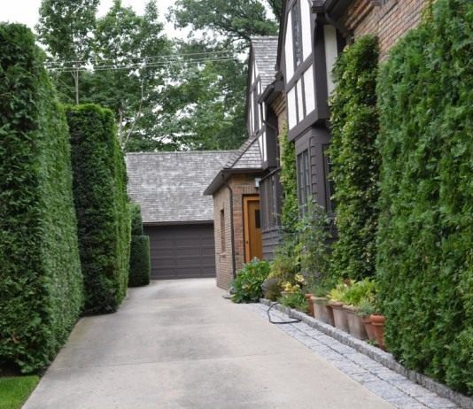 Оформление подъездной дорожки к дому - Цветник и ландшафт Подъездная дорожка к дому, оформленная строгой живой изгородью