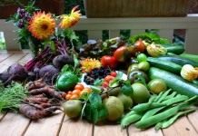 ЭМ-препараты улучшают рост и развитие растений, увеличивают их урожайность и качество выращенной продукции