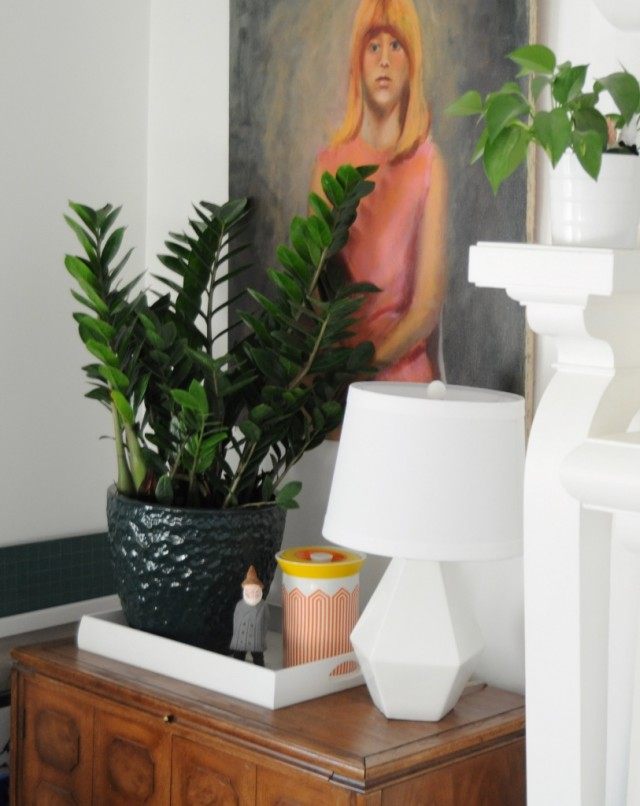 Замиокулькас (Zamioculcas) Замиокулькас (Zamioculcas)