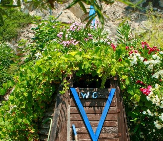 Дачный туалет на выгребной яме