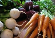 Урожай корнеплодов