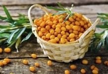 Облепиха крушиновидая (Hippophae rhamnoides)
