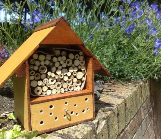 Отель для жуков — садовый домик для полезных насекомых - Своими руками Отель для жуков — садовый домик для полезных насекомых