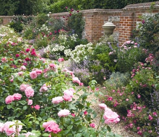 Английские коттеджные рабатки - Цветник и ландшафт Цветник рабатка в английском стиле