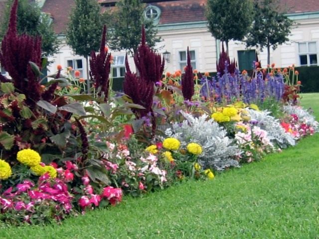 Цветник рабатка