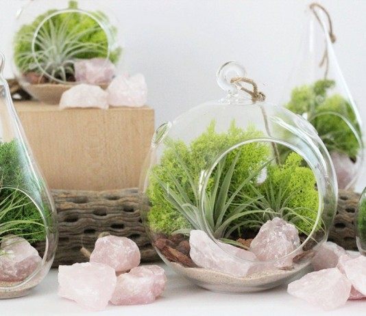 Террариумы для цветов